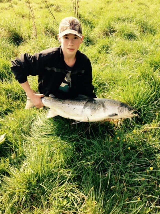salmon 20lb