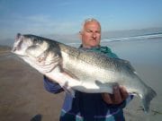 French angler catches 15lb bass from Kerry coast Kerry bass