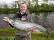 Best week of the season so far on the River Moy with 175 salmon including some very good spring fish.