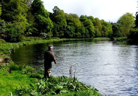 Fly Fishing in a Beautiful Setting in the Boyne Valley