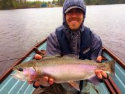 Outstanding fishing at Carrigavantry with massive hatches of lake olives Kyle from the USA with his fish which was released safely