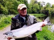 Salmon Fishing Springs into Action on the River Boyne at Navan