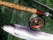 Sea Trout Success for Peter on the River Boyne