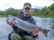 Good salmon up to 9 and 10 lb weight for the Drowes