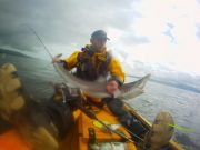 Donegal kayak anglers take tope of Inishowen tope