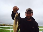 A very quiet week on Lough Currane with only one nice 5 lb. sea trout worthy of note
