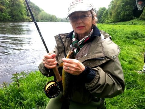 A Wild Brown Trout from the Boyne at Navan