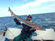 Small boat anglers from Cahore enjoy some early tope fishing tope