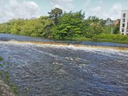 2 salmon reported from the Bandon, prospects set to improve Bandon weir at 10.50 am.