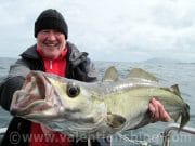 Pollack to 14lb for Austrian charter boat anglers on Valentia Island 14lb pollack