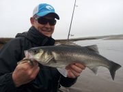 Outlook good for bass season in Kerry Matt Vickerey