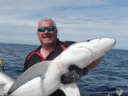 Cork Harbour a big fish heaven in last few days blue shark