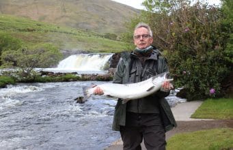 10.5lb salmon