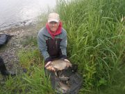 Tench from 3 to 7lb reported from Ballyshunnock Muckno