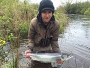 salmon