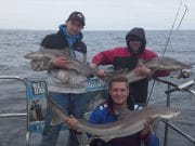 Red Tide in Red Bay but 37 tope in 2 days a good result tope