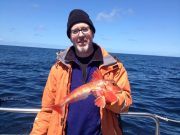 Conditions improving off Clare coast – good cod reported Red Gurnard