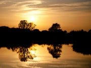 Irish Angling Update 11/06/15 Photo compliment of Ardaire Springs Fishery, Mooncoin, Co. Kilkenny