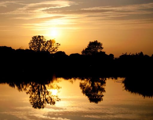 Photo compliment of Ardaire Springs Fishery, Mooncoin, Co. Kilkenny