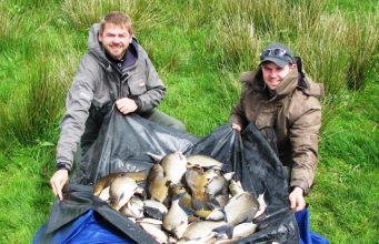 Tench, bream, roach