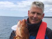 Cod to 9lb for fly anglers on Cork Harbour 9lb cod