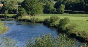Low water stops salmon running Munster Blackwater