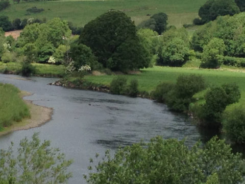 The river today Monday June 22nd at 12.30 with the Ballyduff gauge on 0.28m.