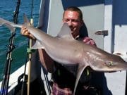 A busy time for Wickow Boat Charters with some lovely specimens caught