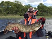 Dammes caught this Pike on what looked like a large cockerel when cast.