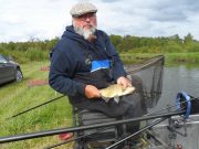Match Fishing on the Grand Canal, Edenderry, Co.Offaly extremely popular Robert Buick 3-Day Festival winner