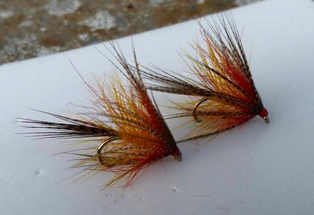 Peter Driver’s Cock Robin Dabblers