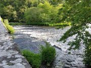 Just one salmon reported from the Laune last week One of Tomasz's favourite rivers is the Laune