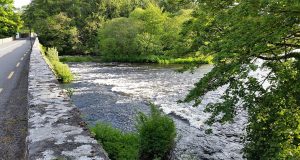 A few salmon, including fish to 16lb, from Killarney lakes and rivers last week One of Tomasz's favourite rivers is the Laune