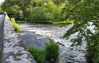 A few salmon, including fish to 16lb, from Killarney lakes and rivers last week One of Tomasz's favourite rivers is the Laune