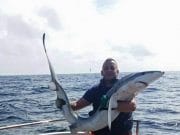 Blue shark reported from Kinsale yesterday blue shark