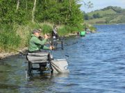 Hybrids, Skimmers and Perch at Ballybay Match on Lough Muckno