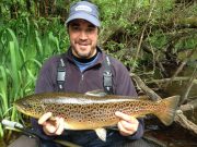 Good Caenis reports from Corrib including 10lb trout caught and released 10lb trout