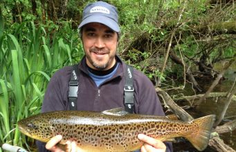 Good Caenis reports from Corrib including 10lb trout caught and released 10lb trout