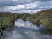 Irish Angling Update, 04/06/15 River Nore