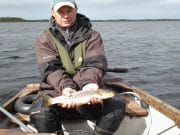 Conn produces excellent angling, though conditions remain difficult Flanery’s Bay, L. Conn