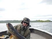 More big pike to 110cm in Boyle area 110cm pike