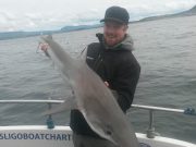 Magic fishing on Sligo Bay – tope to 57lb