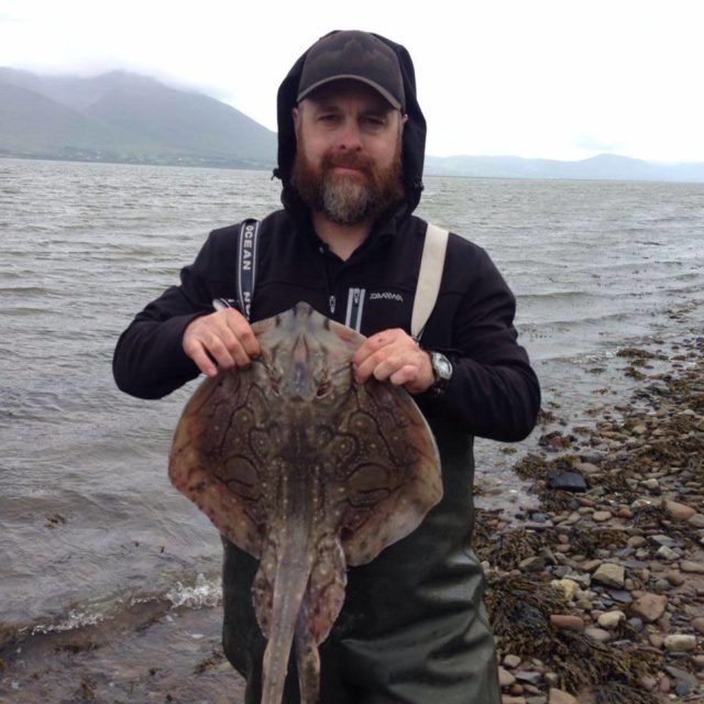 Undulate Ray