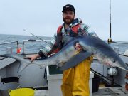 No shortage of sharks for West Cork charter boats shark