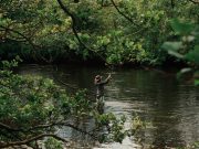 Irish Angling Update – 09/07/15 Salmon fishing on the Laune