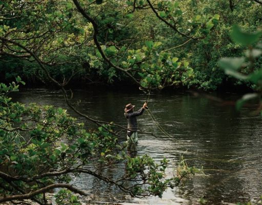 Irish Angling Update – 09/07/15 Salmon fishing on the Laune