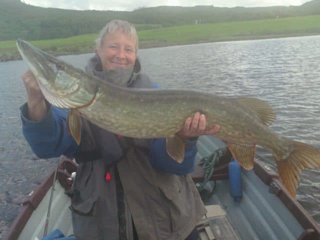 107cm pike