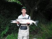 Floods on Bandon, grilse and salmon to 15.75lb caught 15.7lb salmon
