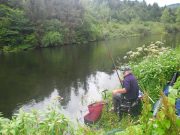 Irish Angling Update – 16/07/15 St Mullins