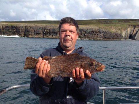 2.09kg Ballan